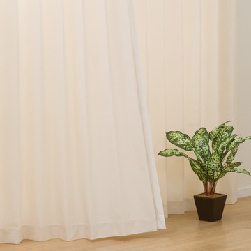 窗簾兩件組 PD001 IV 耐磨 100×200×2 NITORI宜得利家居