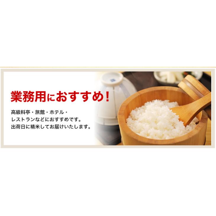 米 お米 5kg ミルキークイーン ブレンド米 送料無料 白米 令和5年 新米 米は日本の味（北海道・九州 300円）