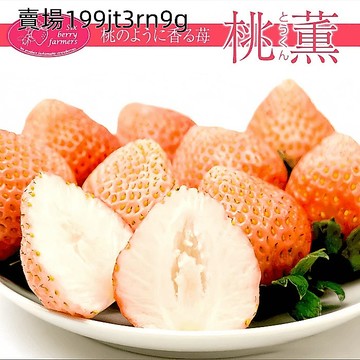 現貨🍓草莓種子🍓桃薫（とうくん）種子（200粒） 原日本草莓品種 陽臺 庭院 盆栽水果種子  原產地稀有桃薫草莓種子