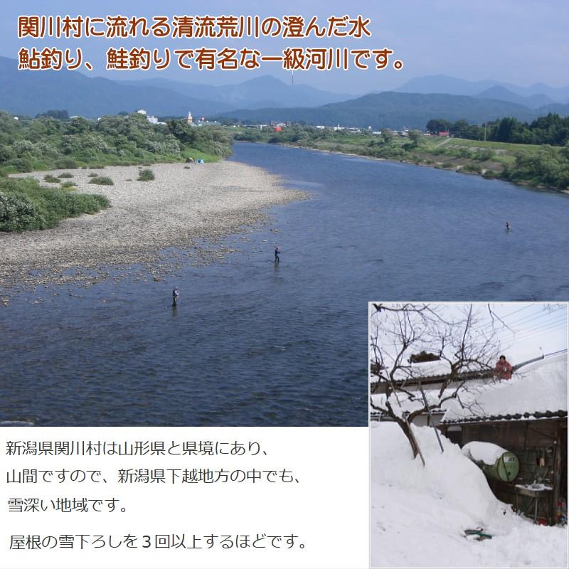 新潟県岩船産 コシヒカリ 5kg×2袋 10kg 除草剤を1度しか使っていない米 お米 白米 特A 送料無料