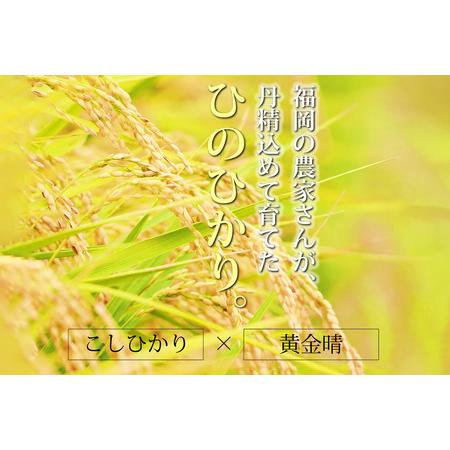 ふるさと納税 福岡県産 無洗米 ひのひかり 10kg 福岡県小郡市