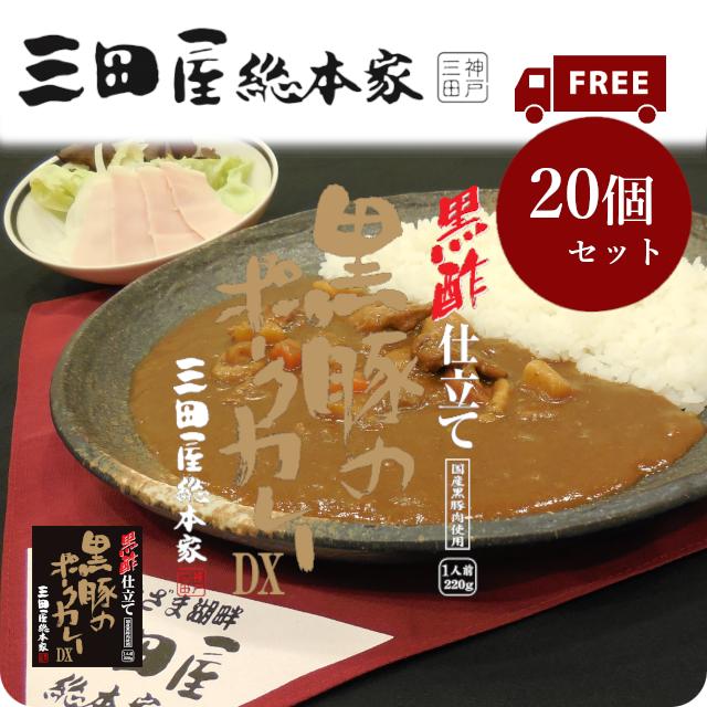 送料無料 レトルトカレー 三田屋総本家黒酢仕立て黒豚のポークカレーDX　220g　20個セット