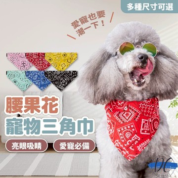 【DC寵物有發票】🐾腰果花寵物三角巾 寵物項圈 狗狗項圈 貓咪項圈 狗項圈 貓項圈 小狗項圈 小貓項圈 貓頸圈 A190