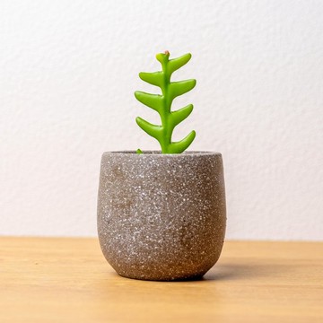 鯊魚劍 桌上型水泥盆栽 觀葉植物 禮物 盆栽 交換禮物 辦公室小物