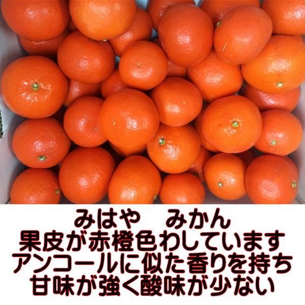 みはや　みかん　1箱5ｋｇ　熊本産　80サイズ みかん ミカン 蜜柑