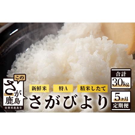 ふるさと納税 佐賀県鹿島市産さがびより 白米6kg定期便（５か月お届け） G-46 佐賀県鹿島市