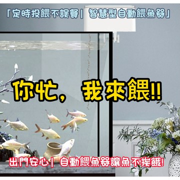 【24小時內出貨】智能自動餵魚器 小/大 定時餵食器 水族餵食器 水族箱魚缸魚飼料投餵機 魚缸 小丑魚 餵魚機 自動投食