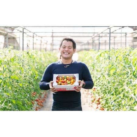 ふるさと納税 中玉フルーツトマト「ゼッピン娘」1.8kg×2箱（計3.6kg） 希少な品種 華おとめ 甘い 茨城県結城市