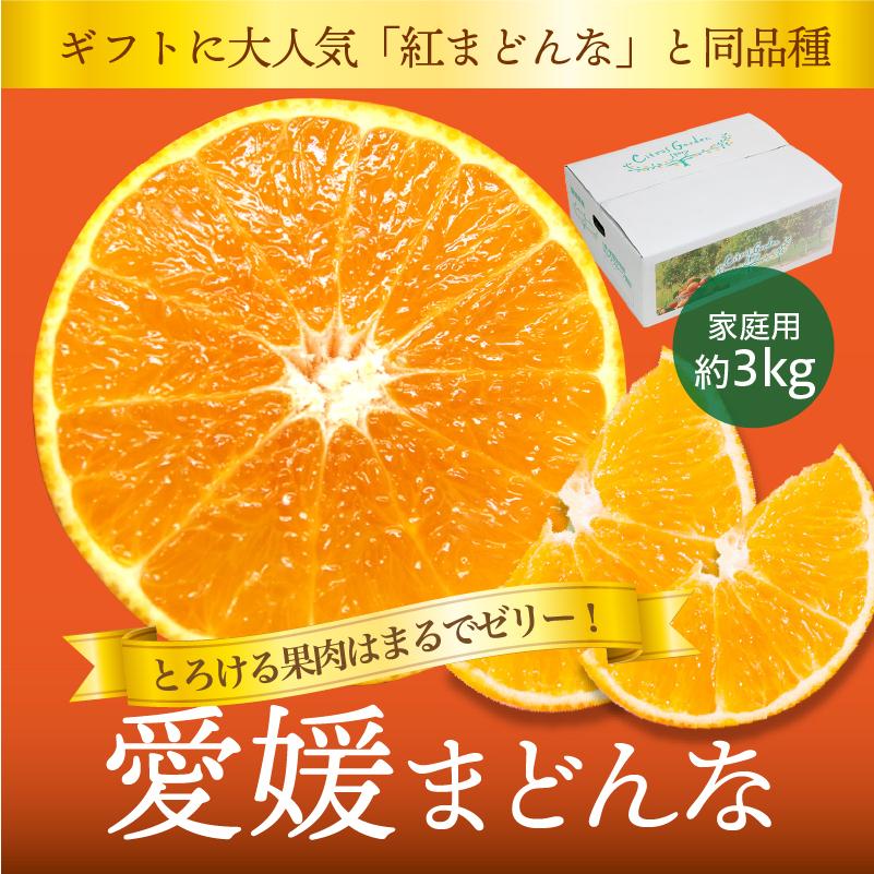 みかん 愛媛まどんな まどんな 家庭用 約3kg 愛媛産 送料無料 産地直送