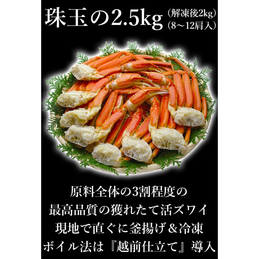 カニ かに 蟹 ズワイガニ 本ずわい足 総重量2.5kg 脚8〜12肩 正味2kg 5〜7人前 L〜2Lサイズ 焼き蟹 かに鍋 魚介類 海産物