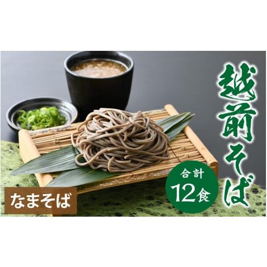 ふるさと納税 福井県 福井市 ヤマサ製麺 越前そば 12食 （3食袋×4）【蕎麦 おそば なまそば 生そば 生麺 麺類 越前蕎麦 和食 小分け 風味 のど越し つゆ付 冷…