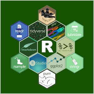 R Programming and Tidyverse Capstone Project