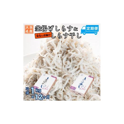 ふるさと納税 茨城県 大洗町 釜揚げしらす しらす干し 交互 定期便 (1kg×12か月) 天然 ふっくら 大洗 名産 しらす シラス 魚 さかな 魚介 離乳食