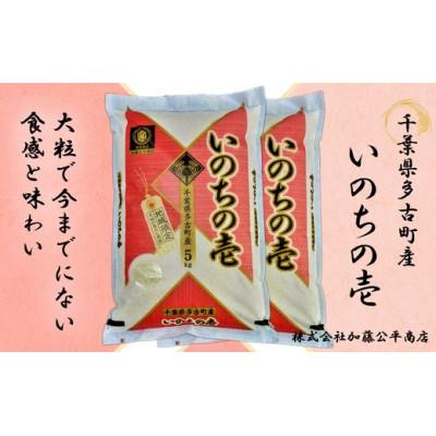 ふるさと納税 多古町 多古町産いのちの壱 精米10kg(5kg×2袋)