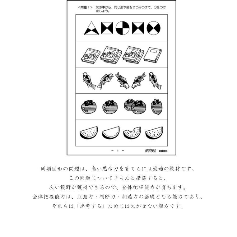 能力育成問題集25 同類図形