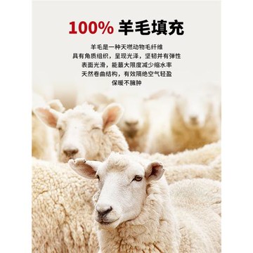 羊毛棉褲女士打底褲外穿保暖褲子冬季加絨加厚護膝東北冬裝褲外褲