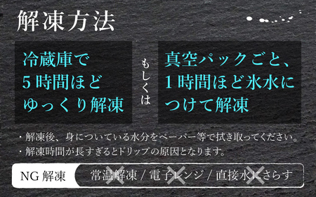 ふくいサーモン（刺身用）真空冷凍　350g（175g × 2パック） × 3回 合計約1.05kg