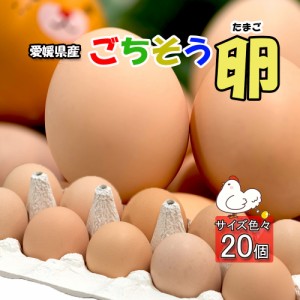 たまご 愛媛県 父の日 餌と生育にこだわった ごちそう卵 まとめ買い 20個 送料無料 鶏卵