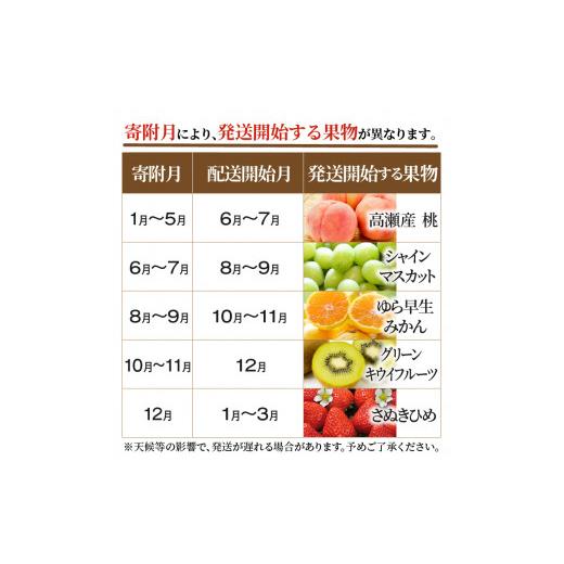 ふるさと納税 香川県 三豊市 M64-0040_産地厳選三豊のフルーツ５回定期便B