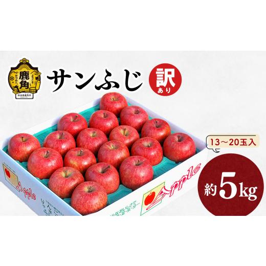 ふるさと納税 秋田県 鹿角市 りんご「サンふじ」家庭用 13〜20玉（約5kg）●2023年11月中旬発送開始　林檎 りんご リンゴ 国産 東北 …