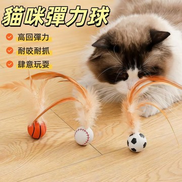 Chic🔥寵物彈力球 逗貓球 寵物玩具 貓咪玩具 逗貓玩具 彈力球 自嗨球 跳跳球 足球/籃球/棒球解悶 磨牙 互動玩具