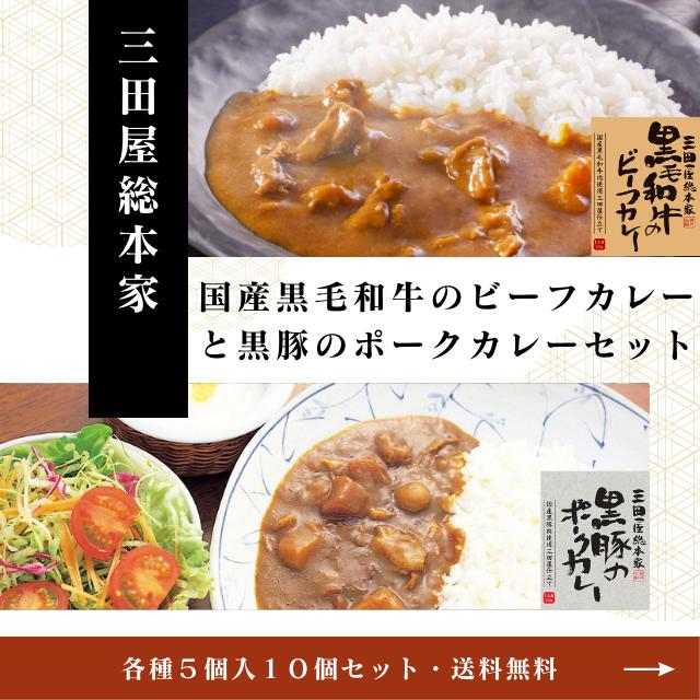 送料無料！三田屋総本家黒毛和牛のビーフカレー＆黒豚のポークカレー各５個１０個入セット