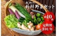 越知産市の季節の野菜セット(年3回発送)　産地直送　旬野菜