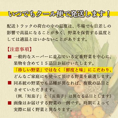 ふるさと納税 時津町 厳選野菜セット 果物付き 15品目 詰め合わせ (時津町)全4回