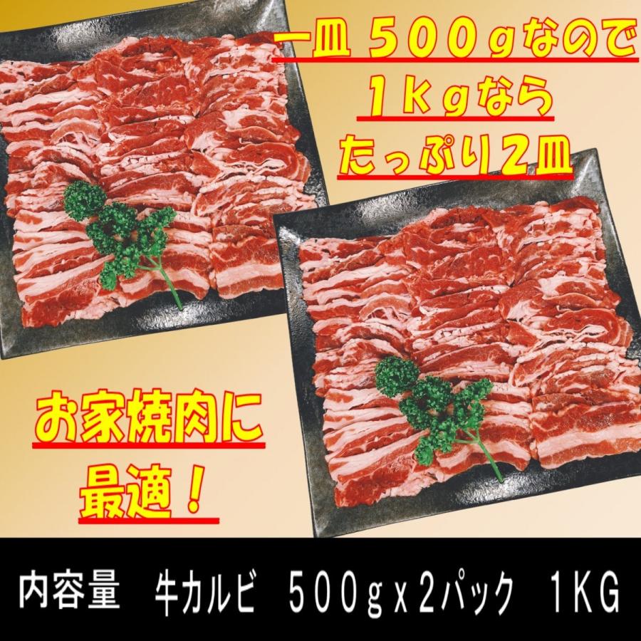 肉 バーベキュー 食材 牛肉 焼肉セット バーベキュー 肉 BBQ 肉 カルビ バラ バーベキューセット 食材 BBQ食材セット BBQ 食材 焼肉 牛丼 1kg 4〜6人前