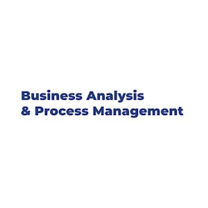 Business Analysis & Process Management