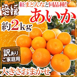 愛媛産 紅まどんなと同じ品種 ”あいか” 訳あり 約2kg 大きさおまかせ 送料無料