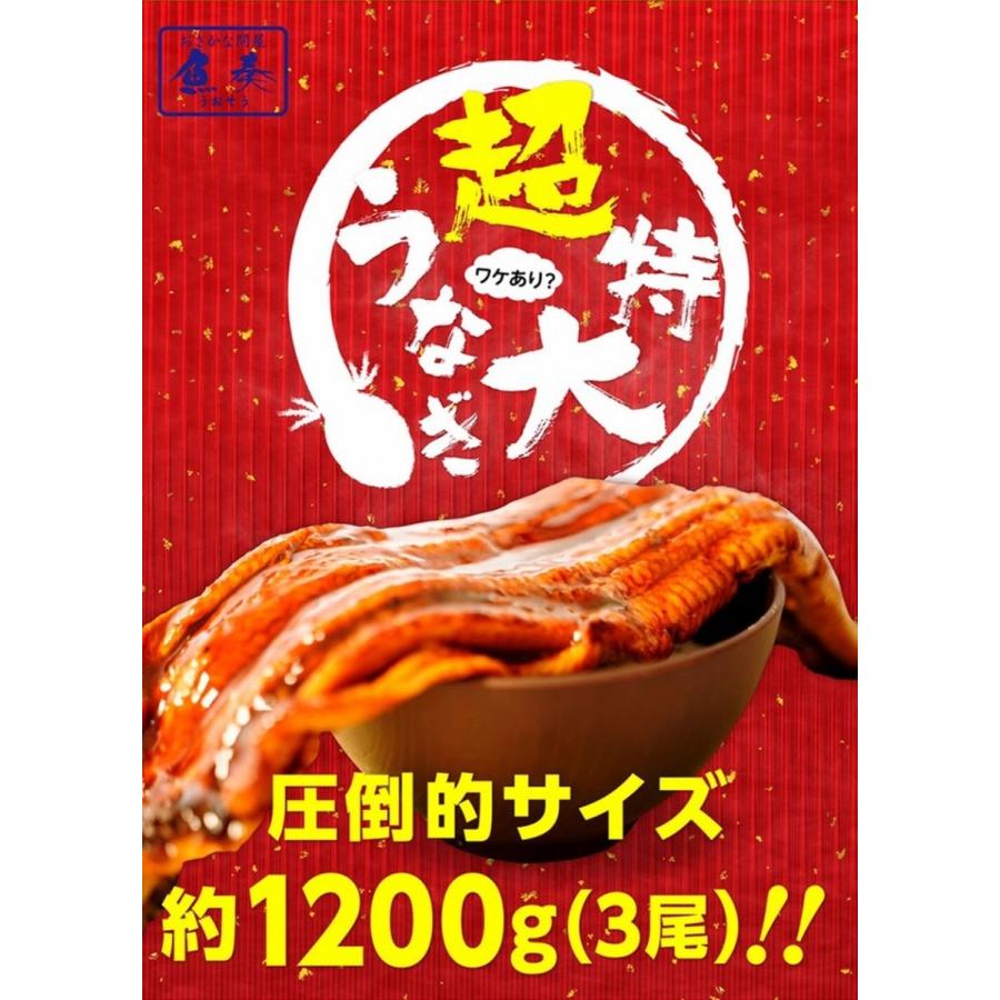 超特大 うなぎ蒲焼 3尾 長焼 約1.2kg（380g〜400g×3本 ） 訳あり 蒲焼 ウナギ 鰻 母の日 父の日 土用丑 取り寄せ ギフト