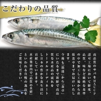 昆布塩サバ詰合せ 約140g×36枚(合計約5kg) HACCP衛生管理 鯖 さば 切身 焼き魚 簡単 おかず「2023年 令和5年」