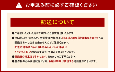 エコファーマー あまおう 約280g×2パック 計約560g