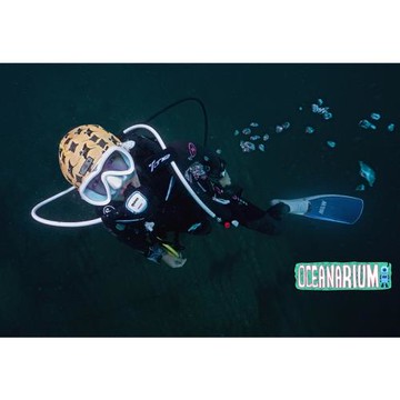 OceanArium游泳帽潛水速干頭套可愛保暖水上運動帽子護耳鯊魚鯨鯊