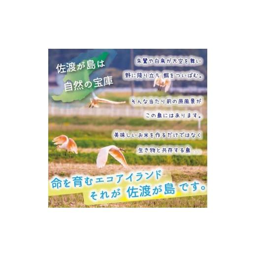 ふるさと納税 新潟県 佐渡市 特別栽培米 佐渡島産コシヒカリ 無洗米10Kg(5kg×2袋)