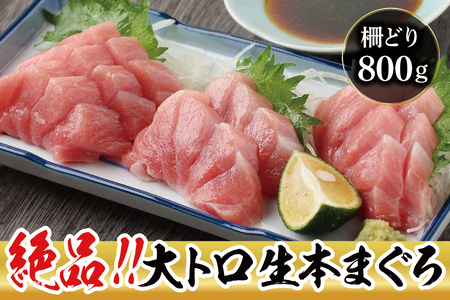 絶品！生本マグロ　大トロ 800g（柵どり）