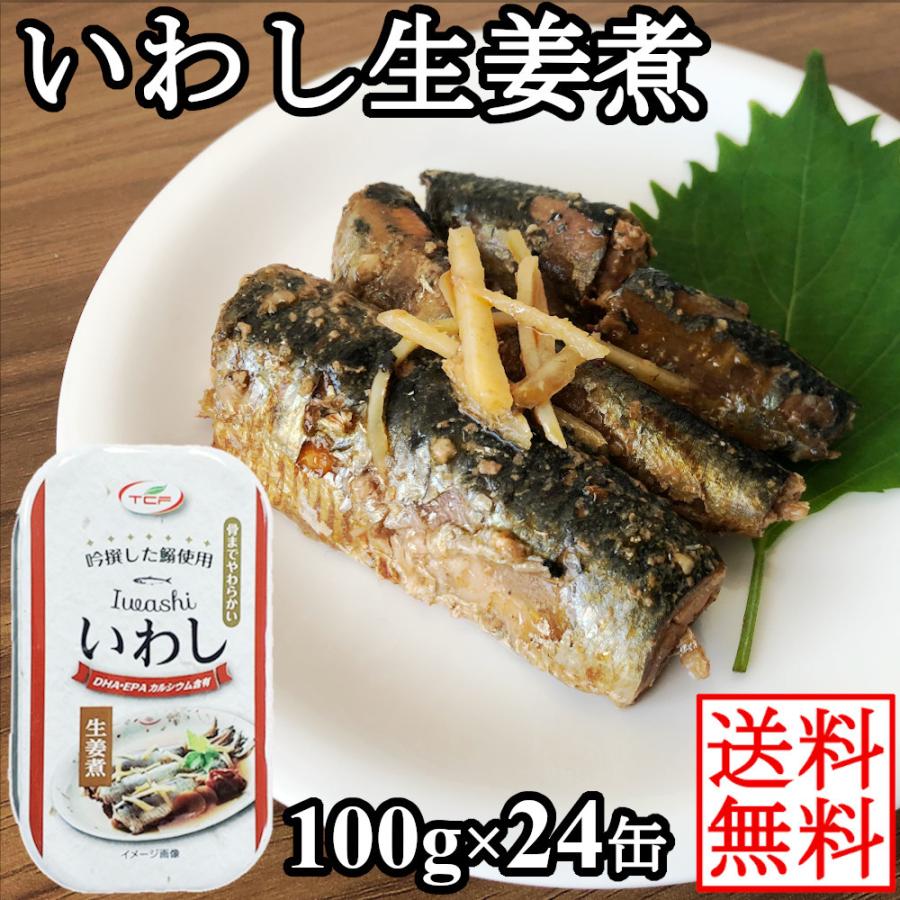 いわし生姜煮缶 100gx24缶 業務用 鰯ショウガ煮付け イワシ煮 まとめ買い 買い置き おつまみ アテ 酒の肴 おつまみセット 送料無料