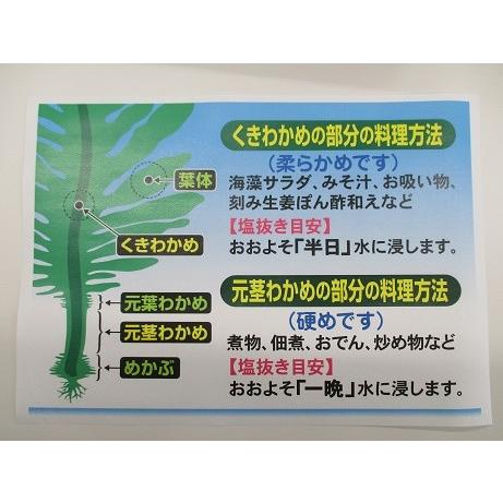 わけあり 湯通し塩蔵芯付わかめ　三陸産　200g