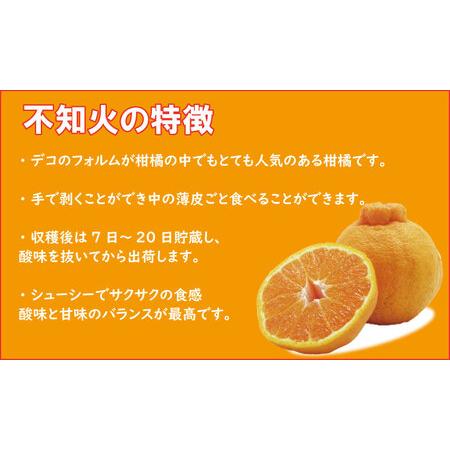 ふるさと納税 （ご予約開始）ご家庭用 不知火（しらぬい）５kg  B145-003 佐賀県小城市