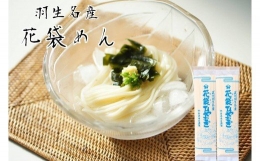 明治六年創業　武州羽生名産　「花袋ひやむぎ」　40人前(200g×20入)