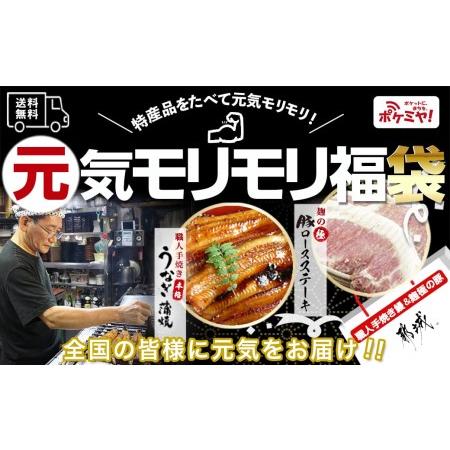 ふるさと納税 職人手焼きうなぎ蒲焼き2尾＆豚ロースステーキ6枚_AC-3305_(都城市) 豚肉 鰻 国産 うなぎの蒲焼 2尾 タレ付き.. 宮崎県都城市