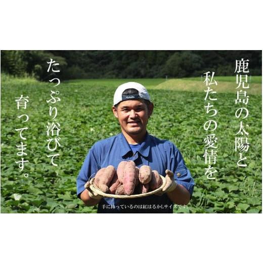 ふるさと納税 鹿児島県 南大隅町 訳あり シルクスイート 2.5kg 1箱 熟成 さつまいも  鹿児島県産