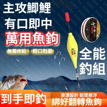 【台灣出貨+全店免運】浮標 釣組 魚鉤 路亞釣組 手竿釣組 子線 釣蝦浮標 蝦標 阿波浮標 釣蝦組