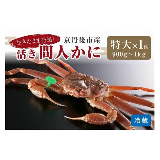 ふるさと納税 京都府 京丹後市 最高鮮度の生きたまま発送！京丹後産活間人かに 900g~1kg 特大サイズ／北畿水産