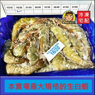 【蘭陽餐飲食材行】活凍白蝦 ( 規格16/20 ) 整盒800g 蝦拼海產 海鮮 蝦子 生白蝦 水產 冷凍食品 ( 此為冷凍宅配品號 )