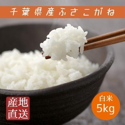 新米 米 お米 白米 5kg 令和5年産 ふさこがね 本州四国 送料無料