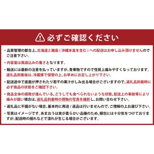 ふるさと納税 福岡県 岡垣町 ギフト配送 福岡県産あまおう EX 約450g×2パック 〈特別栽培〉