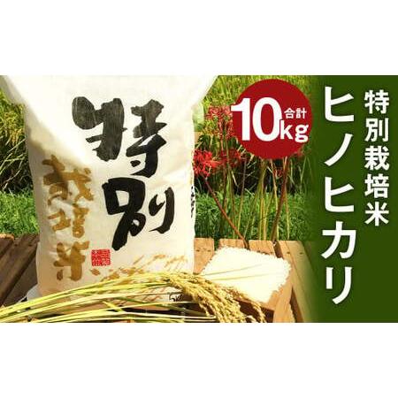 ふるさと納税 特別栽培米 ヒノヒカリ 10kg (5kg×2) 熊本県人吉市