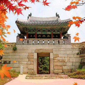 秋季出發↘威風釜慶邱賞楓~(不進人蔘、護肝、土產) 八公山賞楓、金井山城、梵魚寺、加耶公園、海岸觀光列車、長腳蟹&烤肉吃到飽五日